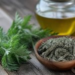 Absinthe bienfait : vertus, usages et précautions