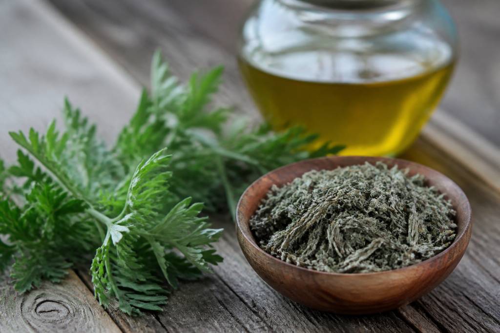 Absinthe bienfait : vertus, usages et précautions
